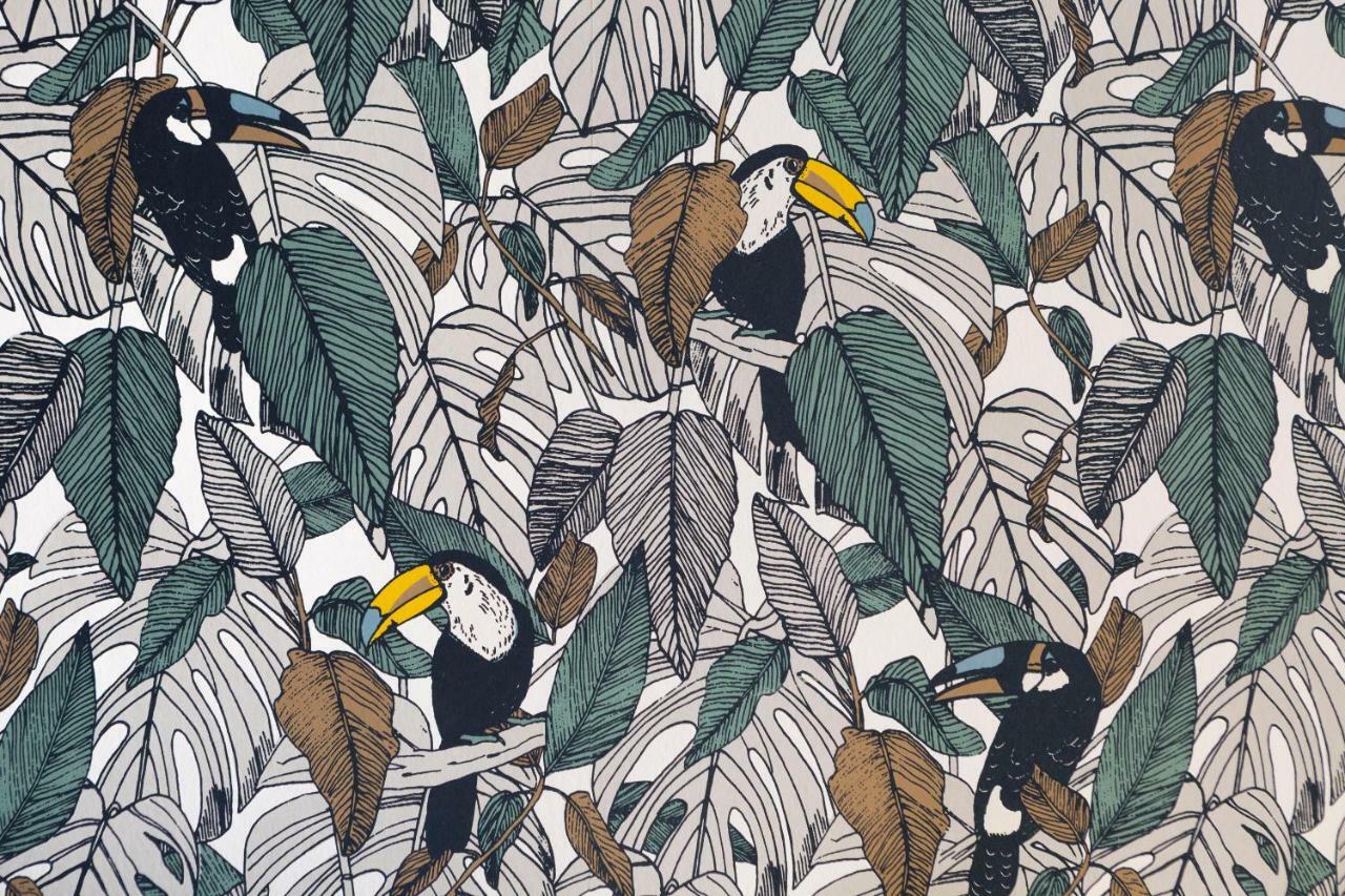 Le Toucan By Cocoonr แรนส์ ภายนอก รูปภาพ